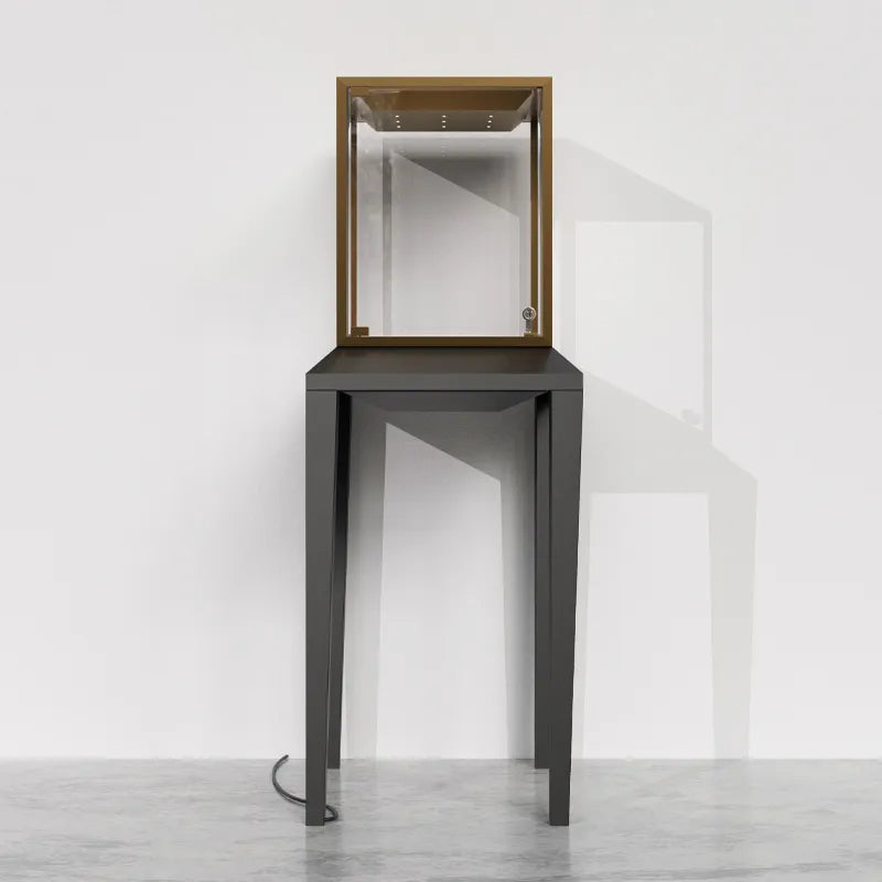 Custom luxury jewelry display cabinet ZG004