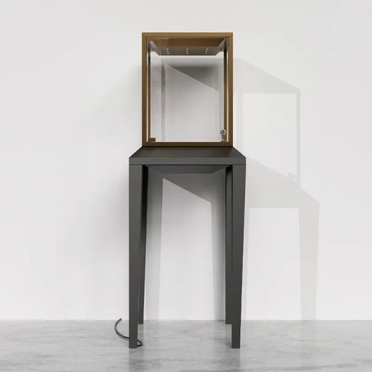 Custom luxury jewelry display cabinet ZG004