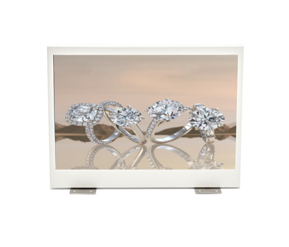 OIRLV Wholesale metal leather Jewelry display set :TT487